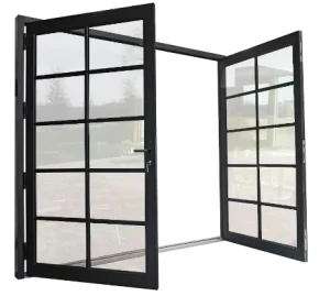 Aluminum Double Swing Entrance Door