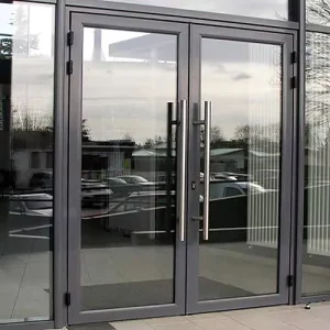 Aluminum Exterior Villa Main Entrance Glass Door with Metal Construction