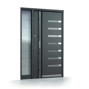 Aluminum and Steel Pivot Main Door for Houses with Stainless Steel