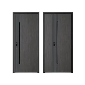American Style Bulletproof Fireproof Pivot Metal Security Door for House