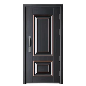 Anti-Theft Steel Exterior Security Entrance Door