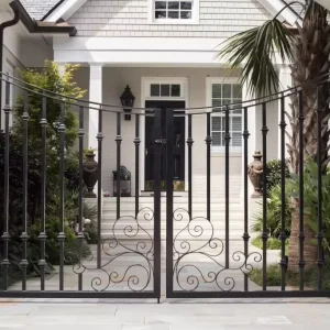Antique Wrought Iron Main Entrance Double Swing Door for Villa