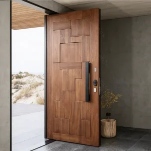 Modern Aluminum Pivot Front Entry Door for House