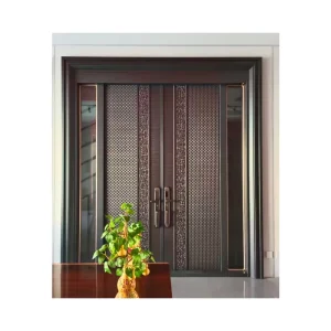 Bespoke Energy Efficient Galvanized Steel Pivot Door for South Africa Contractor Grade