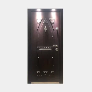 Black Double-Glass Solid Wood Pivot Door with Metal Frame for Modern Exterior Entrance