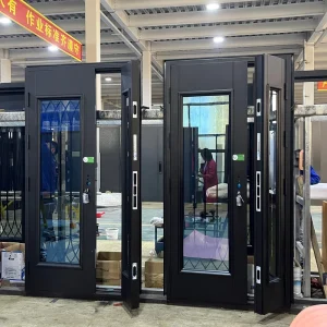 Black Profile Aluminum-Frame Exterior Front Entry Door
