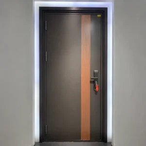 Black Stainless Steel Security Entry Door for Villa or Apartment