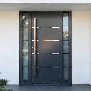 Black Steel and Aluminum Pivot Entrance Door