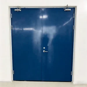 Blue Steel Fireproof Swing Door for Safety Passage