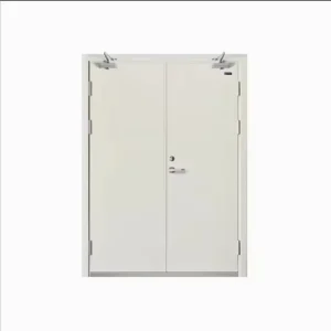 China-Made Heavy-Duty Steel Fire-Rated Door, 30-180-Minute Protection, Commercial and Residential