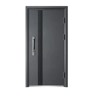 Chinese Minimalist Steel Entry Security Door with Anti-Theft Feature for Home Exterior