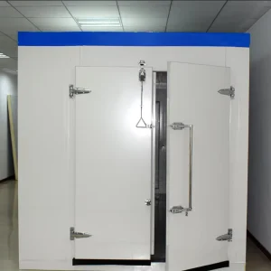 Cold Storage Swing Door with Steel PU Sandwich Panel