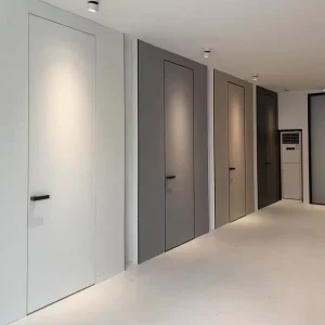 Commercial Frameless Hidden Door