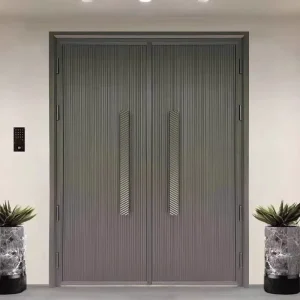 Commercial Front Entry Casement Aluminum Alloy Fiberglass Screen Door with Fire Prevention for Villa Apartment