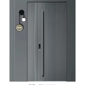 Commercial and Industrial Steel Double Security Door with Long Hardware