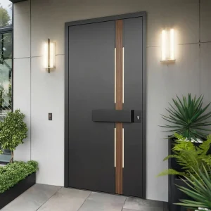 Contemporary Minimalist Single Leaf Aluminum Entry Door