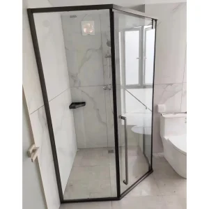 Custom 8mm Clear Stainless Steel Shower Room Enclosure with Sliding Door and Hinge