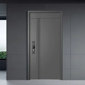 Custom Black Stainless Steel Security Door for Home Entrance