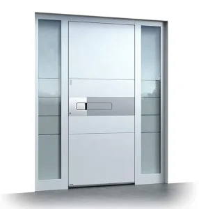 Custom Modern Aluminum and Stainless Steel Security Entrance Door