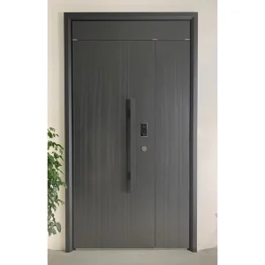 Custom Modern Metal Pivot/Swing Front Entry Door for Villa