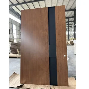 Custom Modern Solid Wood Pivot Entry Door with Decorative Frame and Hardware