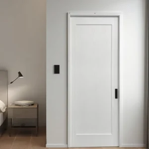 Custom White Single-Panel Shaker Interior Door