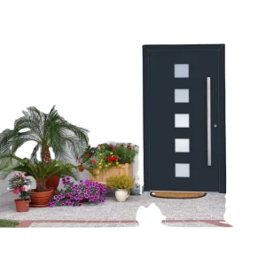 Customizable Aluminum Front Entrance Door with Anodized Finish