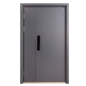 Customized Modern Steel Safety Entrance Door for Apartment Interior/Exterior Anti-Theft