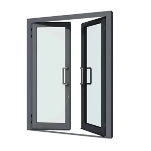 Double-Action Swing Door for Home