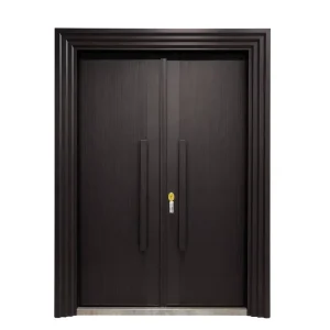 Double Architectural Ribbed Metal Entrance Door for Home