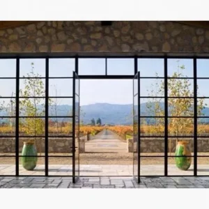 Exterior Glass Patio Double Steel Swing Door