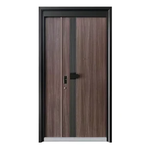 Exterior Security Iron and Steel Entrance Door for Residential Houses