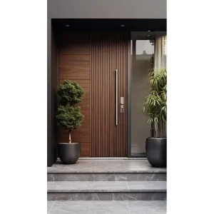 Exterior Solid Wood Entry Door with Glass Panel