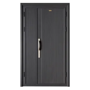 Exterior Steel Front Entry Security Door, Single Gate with Smart Lock for House or Villa