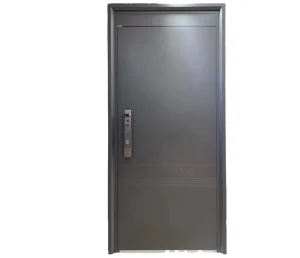 Exterior Steel Security Swing Entry Door, Smart-Lock Ready, for Apartments or Villas