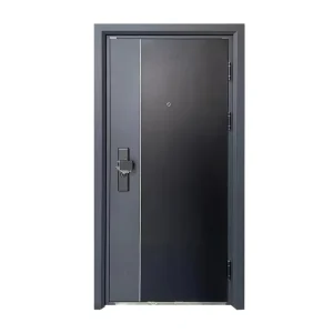 Factory Steel Security Door, Modern Outdoor Entrance, Customized Size, ISO9001 CE Certified