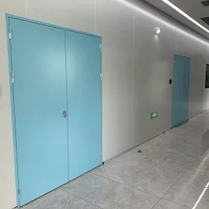 Fire-Retardant Food Processing Factory Clean Door, Antibacterial, High Air Tightness, Packaging Workshop