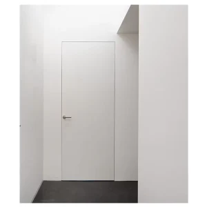 Frameless Wall Concealed Hinges T Shaped Hidden Invisible Door with Hidden Hinges