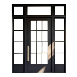 French Double-Leaf Glass Swing Door