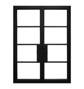 French Steel Double Door
