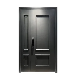 French Style Unequal Double Entry Safety Metal Security Front Door