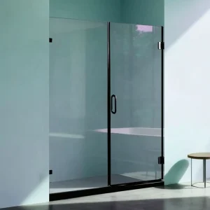 Hinged Frameless Clear Soft Close Tempered Glass Shower Door in Black