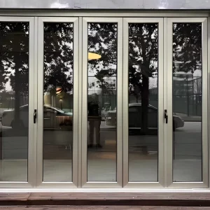 Impact-Resistant Aluminum Entry Door with Black Glass Casement Swing Design