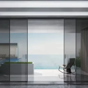 Interior Door Thin Aluminium Profiles Glass Panels Sliding Elements Door