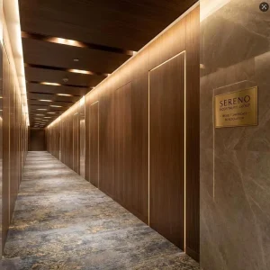 Interior Invisible Door with Smart Lock and Door Jamb