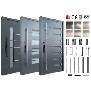 Luxury Modern American Design Residential Cast Aluminum Entry Pivot Security Door for House