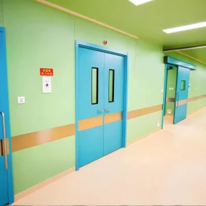 Manual Double Opening Steel Swing Door for Store Entrance and Exit