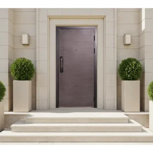Manual Stainless Steel Anti-Theft Minimalist Swing Entrance Door, Side Opening, for Residential Villas and Apartments