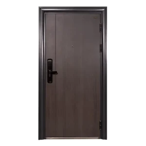 Minimalist Steel Security Door for Apartment and Villa Interior Entry