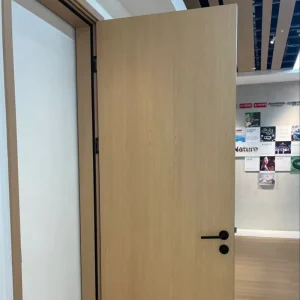 Modern 30-Minute Fire-Rated Solid Wood Flush Door for Hotels and Apartments, FD30